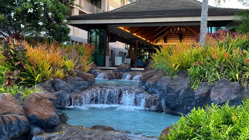 Kauai Hawaii Retreat - Photo 3