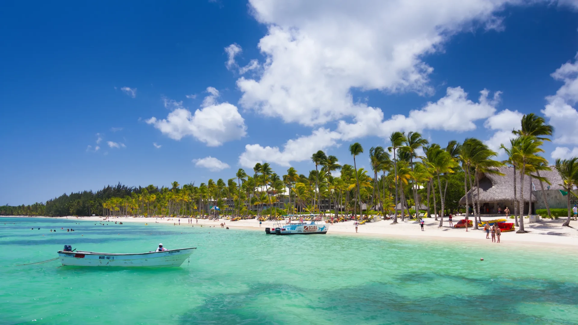 Punta Cana Mastermind Retreat - Photo 3